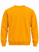 GRID:4687|COLOR:GOLDEN YELLOW|COLOR_ID:26431|IMAGE_INDEX:02|PRIMARY:FALSE|GPR_IMAGE_ID:36932