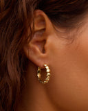 GRID:7795|COLOR:GOLD|COLOR_ID:44287|IMAGE_INDEX:02|PRIMARY:FALSE|GPR_IMAGE_ID:31739