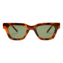 GRID:6424|COLOR:TORT / GREEN POLARIZED|COLOR_ID:36849|IMAGE_INDEX:01|PRIMARY:TRUE|GPR_IMAGE_ID:30054