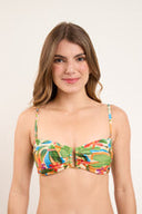 GRID:6831|COLOR:TROPICAL|COLOR_ID:39193|IMAGE_INDEX:02|PRIMARY:FALSE|GPR_IMAGE_ID:17553
