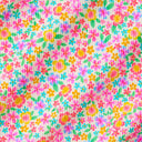 GRID:4927|COLOR:FIELD TRIP|COLOR_ID:41711|IMAGE_INDEX:07|PRIMARY:FALSE|GPR_IMAGE_ID:20469