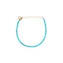 GRID:7018|COLOR:TURQUOISE|COLOR_ID:43997|IMAGE_INDEX:01|PRIMARY:TRUE|GPR_IMAGE_ID:30579