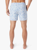 THE BUNGALOW TRUNK