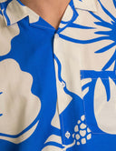GRID:5783|COLOR:BLUE|COLOR_ID:33193|IMAGE_INDEX:10|PRIMARY:FALSE|GPR_IMAGE_ID:22277