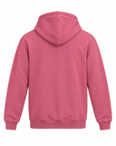 GRID:6179|COLOR:SALMON|COLOR_ID:35575|IMAGE_INDEX:02|PRIMARY:FALSE|GPR_IMAGE_ID:37274