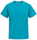 GRID:3930|COLOR:TEAL|COLOR_ID:23113|IMAGE_INDEX:01|PRIMARY:TRUE|GPR_IMAGE_ID:36571