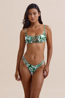 GRID:6464|COLOR:FLORA|COLOR_ID:37063|IMAGE_INDEX:01|PRIMARY:TRUE|GPR_IMAGE_ID:15686