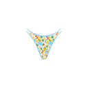 GRID:4820|COLOR:SUNCATCHER|COLOR_ID:37945|IMAGE_INDEX:01|PRIMARY:TRUE|GPR_IMAGE_ID:16472