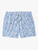 GRID:5896|COLOR:SKY BLUE LEAVES|COLOR_ID:33818|IMAGE_INDEX:01|PRIMARY:TRUE|GPR_IMAGE_ID:13601