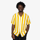 GRID:4478|COLOR:YELLOW|COLOR_ID:25043|IMAGE_INDEX:02|PRIMARY:FALSE|GPR_IMAGE_ID:7889